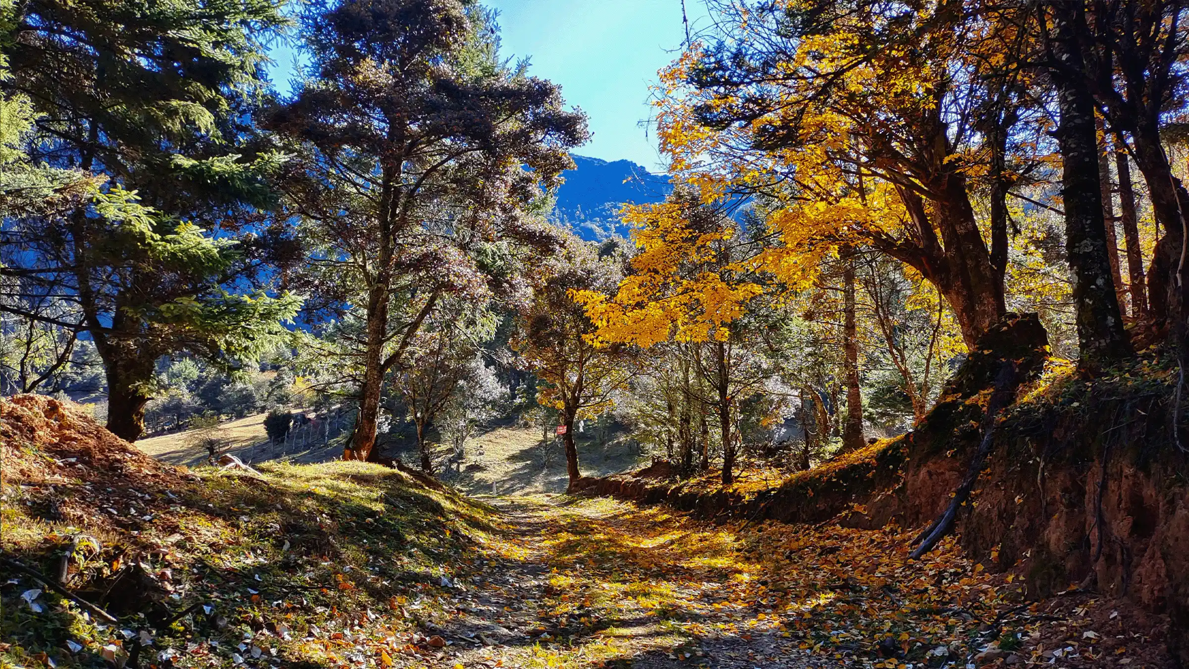 Lijiang Heavenly Valley scenic view