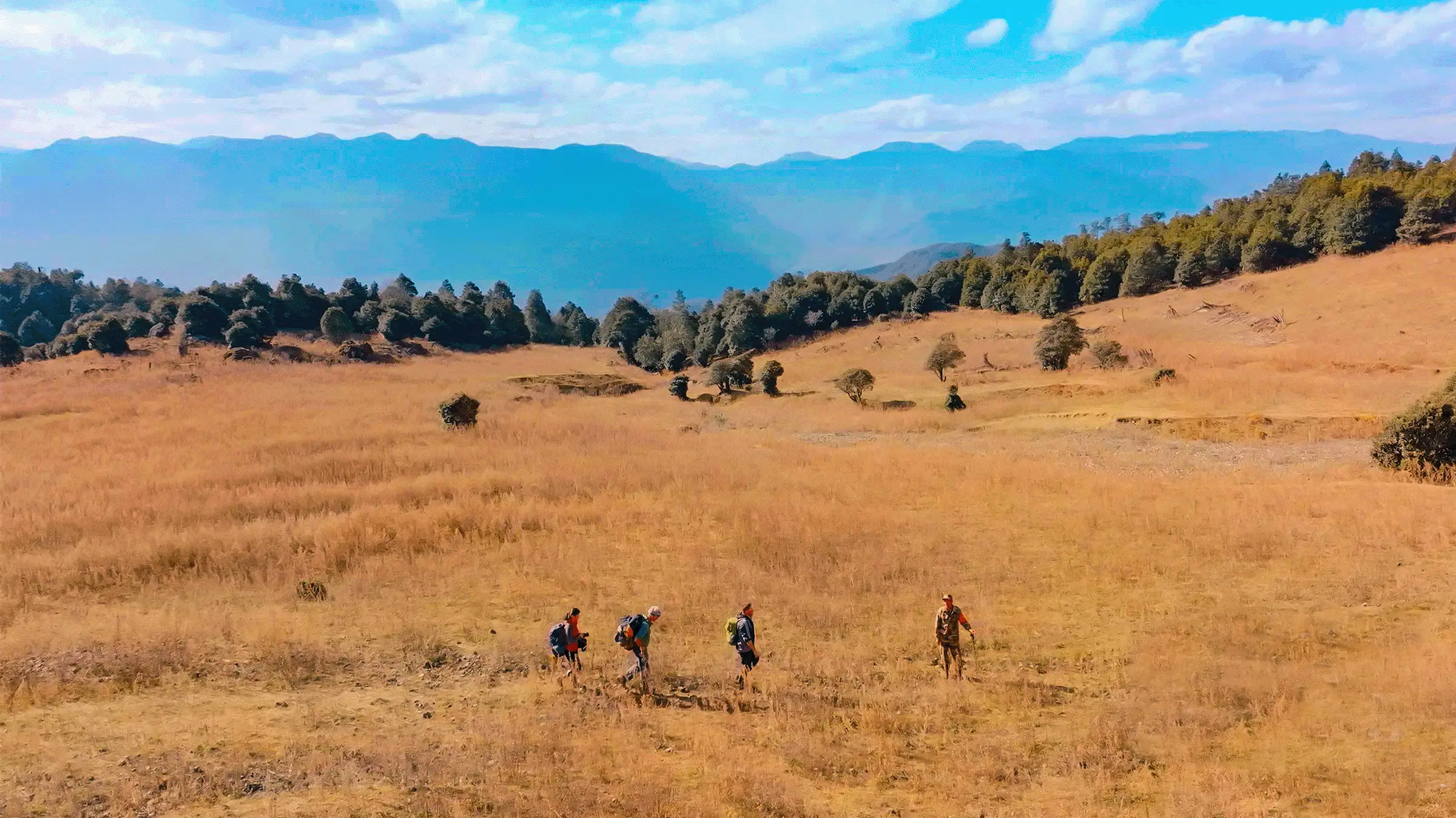 Four hikers walk across a wide golden meadow towards distant mountains